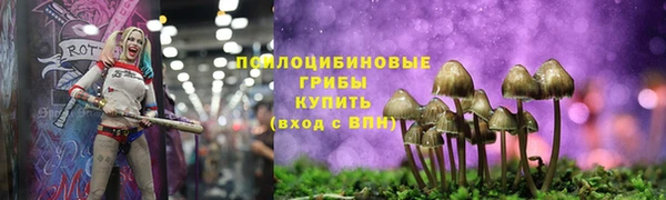 каннабис Алексеевка