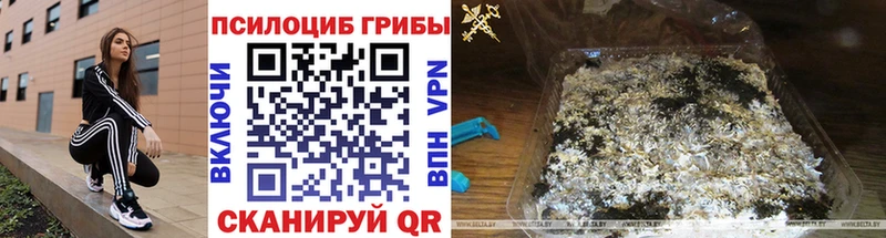 Псилоцибиновые грибы прущие грибы  Красноуфимск 